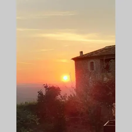 Provencal Independant Avec Piscine Chauffee : Le Suy Bien Holiday home Flayosc
