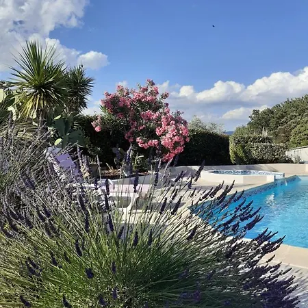 Holiday home Provencal Independant Avec Piscine Chauffee : Le Suy Bien Flayosc