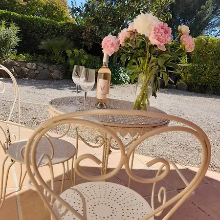 Provencal Independant Avec Piscine Chauffee : Le Suy Bien Flayosc